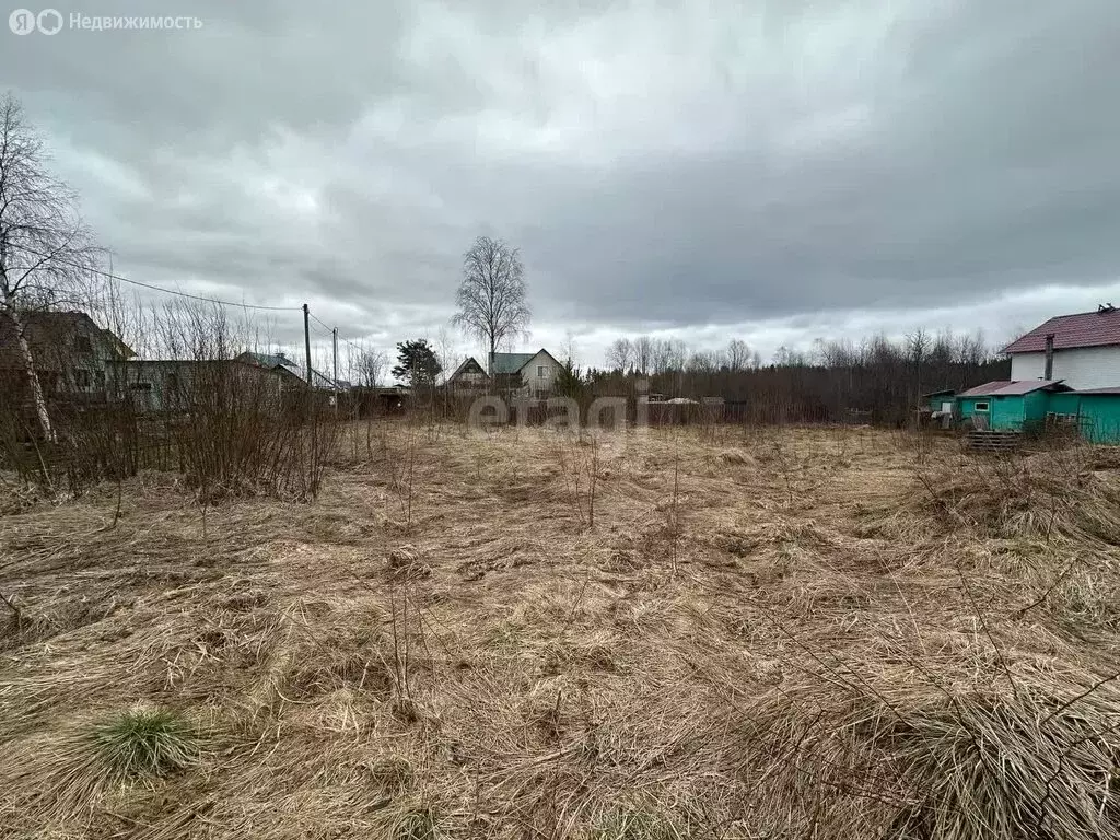 Участок в Прионежский район, село Заозерье (12 м) - Фото 0