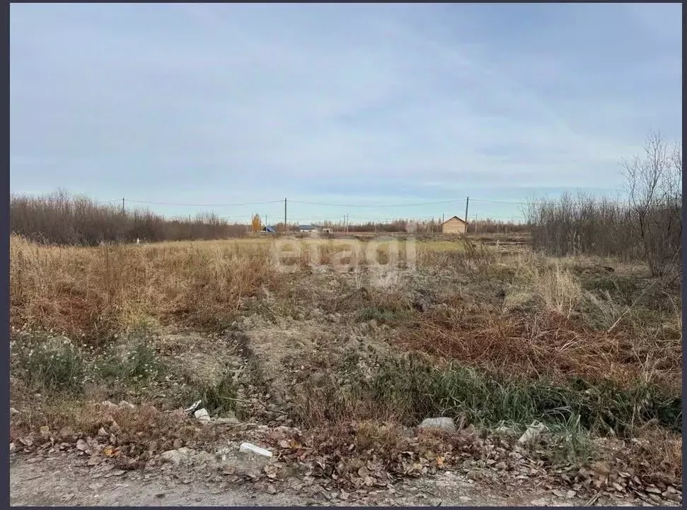 Участок в Тюменская область, Тюмень Большое Царево-1 СНТ,  (9.88 сот.) - Фото 1