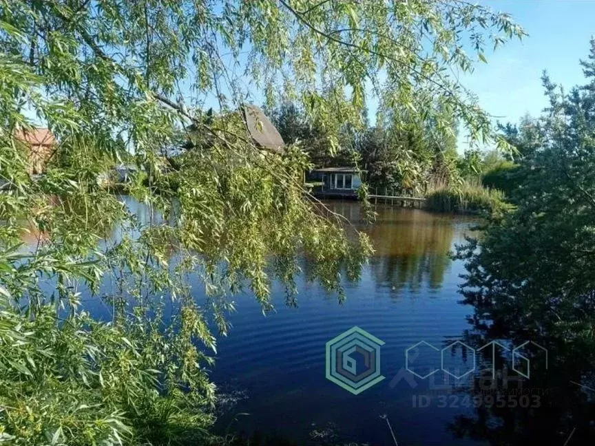 Дом в Калининградская область, Калининград Осень СТ,  (100 м) - Фото 2