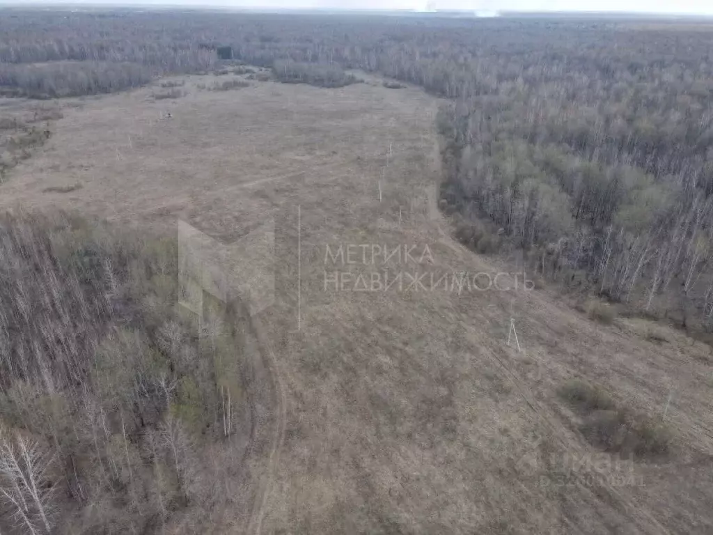 Участок в Тюменская область, Тюменский муниципальный округ, с. ... - Фото 2