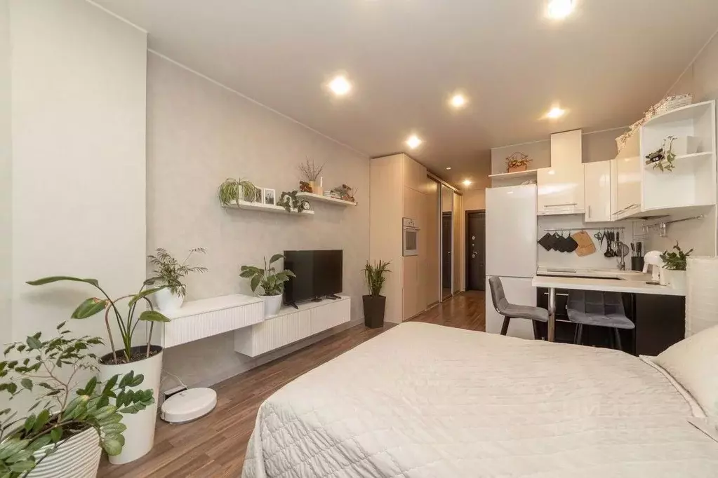 Студия Архангельская область, Архангельск ул. Суворова, 11к2 (27.2 м) - Фото 2