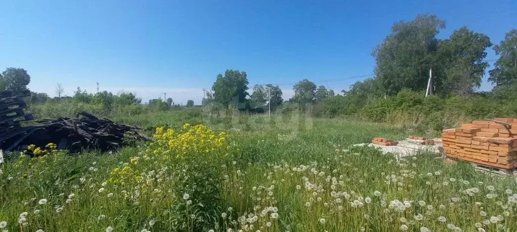 Участок в Кемеровская область, Кемеровский район, Буреничево рзд ... - Фото 1