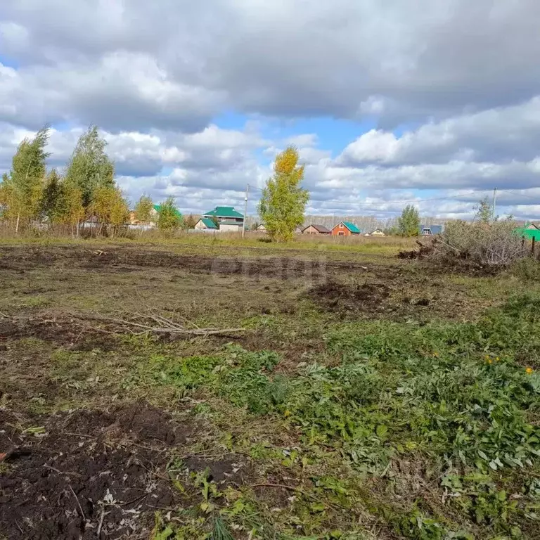 Участок в Башкортостан, Кармаскалинский район, Подлубовский сельсовет, ... - Фото 2