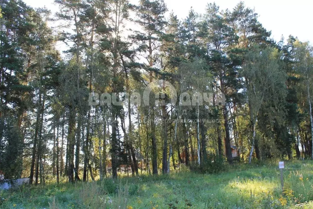 Участок в Тульская область, Заокский район, Малаховское с/пос, ... - Фото 0