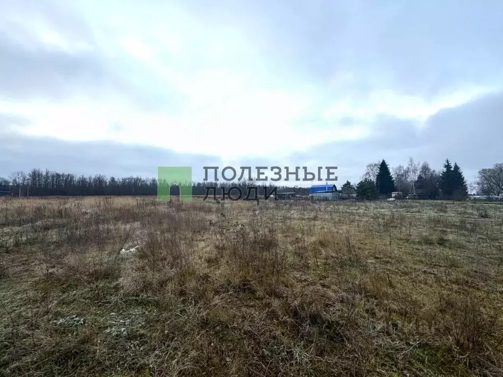 Участок в Орловская область, Орловский муниципальный округ, д. Новая ... - Фото 2