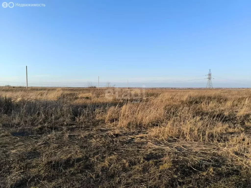 Участок в хутор Новоалександровка, Луговой переулок (6.4 м) - Фото 0