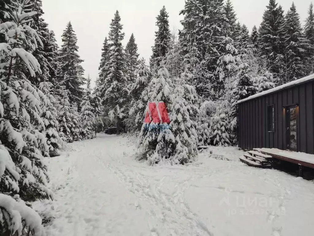 Дом в Ярославская область, Тутаевский муниципальный округ, д. Олехово  ... - Фото 2