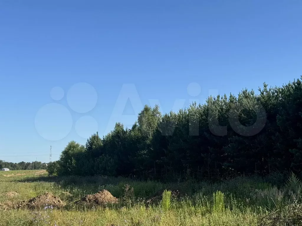 Участок 6 сот. (ИЖС) - Фото 0