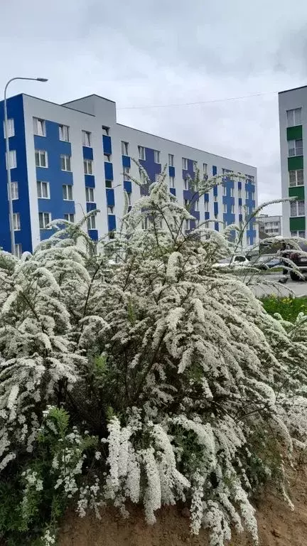 2-к кв. Карелия, Сортавала Октябрьская ул., 31 (52.0 м) - Фото 1