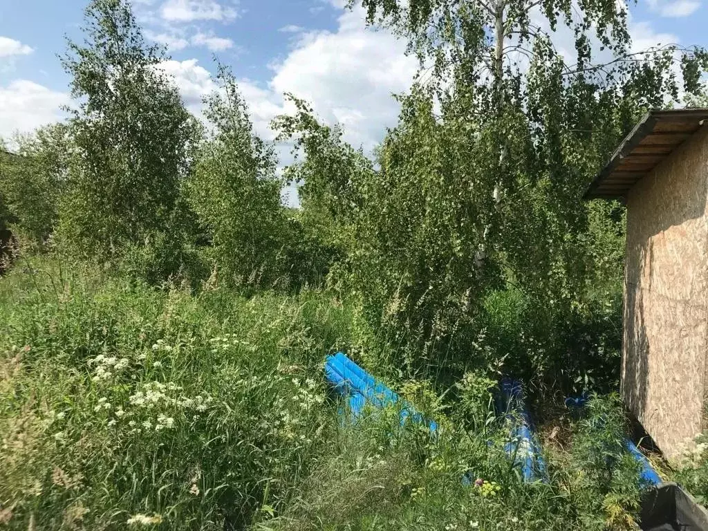Поповщино. Зона отдыха в Русавкино-Поповщино. Лежаки у речки в Русавкино-Поповщино