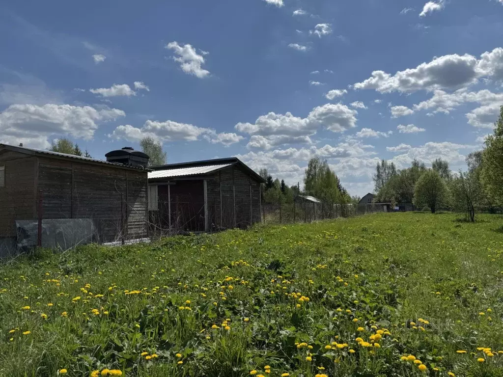 Участок в Владимирская область, Александровский район, Андреевское ... - Фото 1
