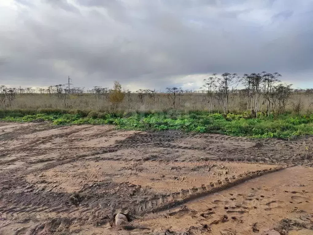 Участок в Псковская область, Псковский район, Завеличенская волость, ... - Фото 2
