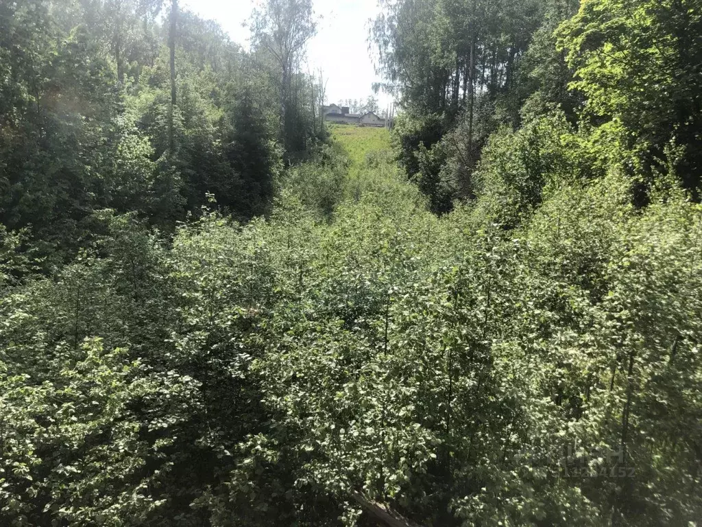 Участок в Ленинградская область, Всеволожский район, Колтушское ... - Фото 1