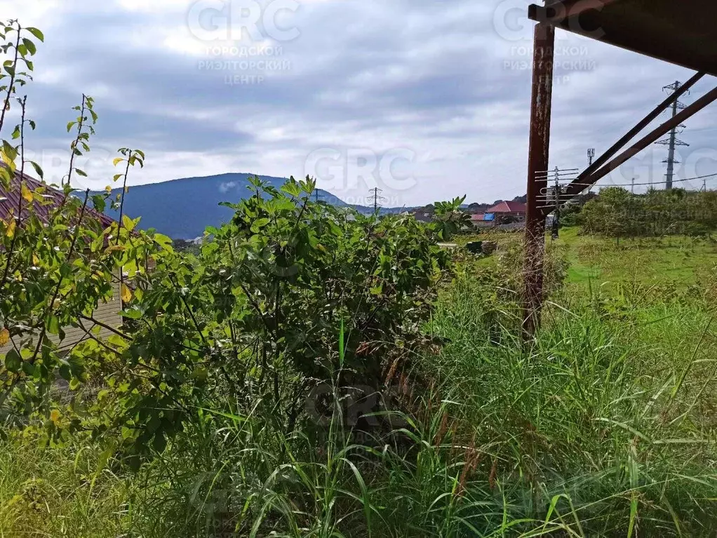 Участок в Краснодарский край, Сочи городской округ, с. Красная Воля  ... - Фото 1