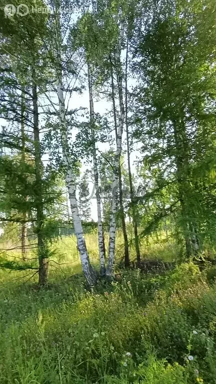 Участок в Зеленодольский район, Бишнинское сельское поселение, деревня ... - Фото 1