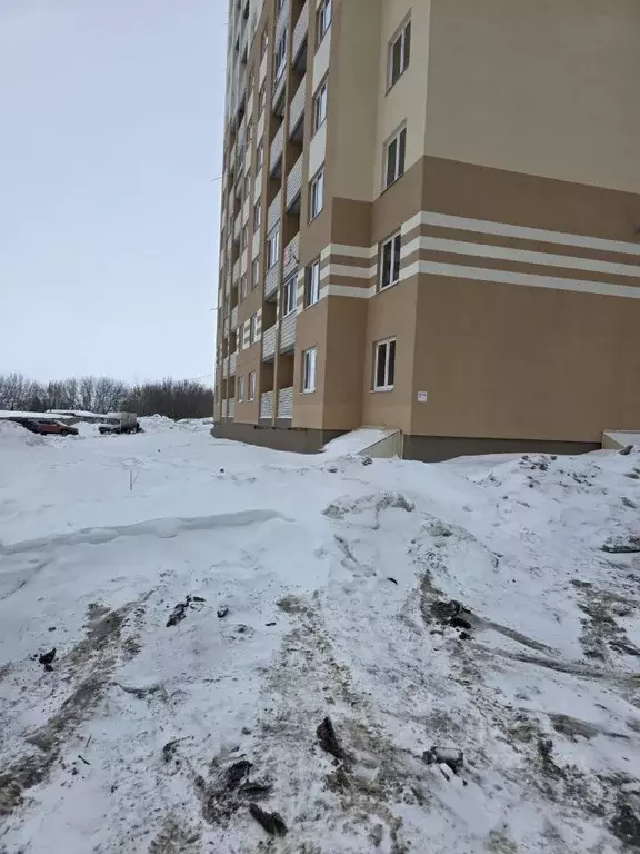 1-к кв. Саратовская область, Саратов ул. Имени Александра Кривохижина, ... - Фото 2
