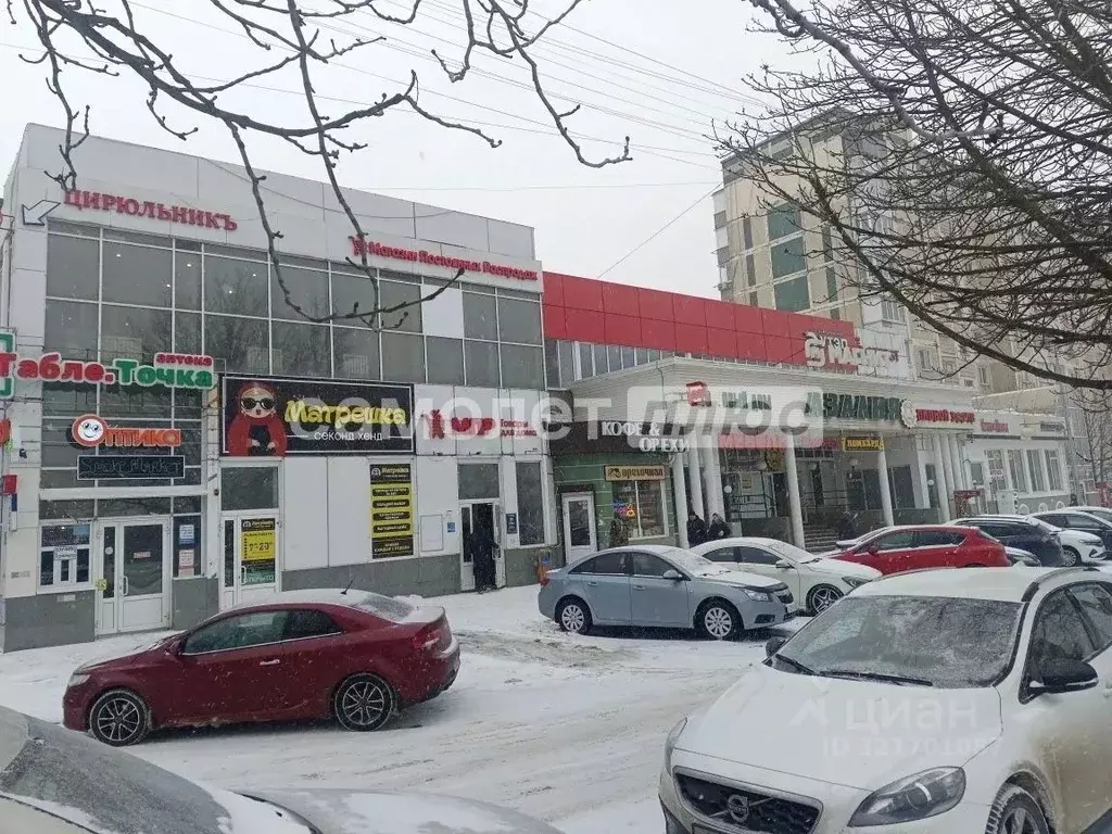 Торговая площадь в Белгородская область, Белгород ул. Губкина, 25А ... - Фото 1