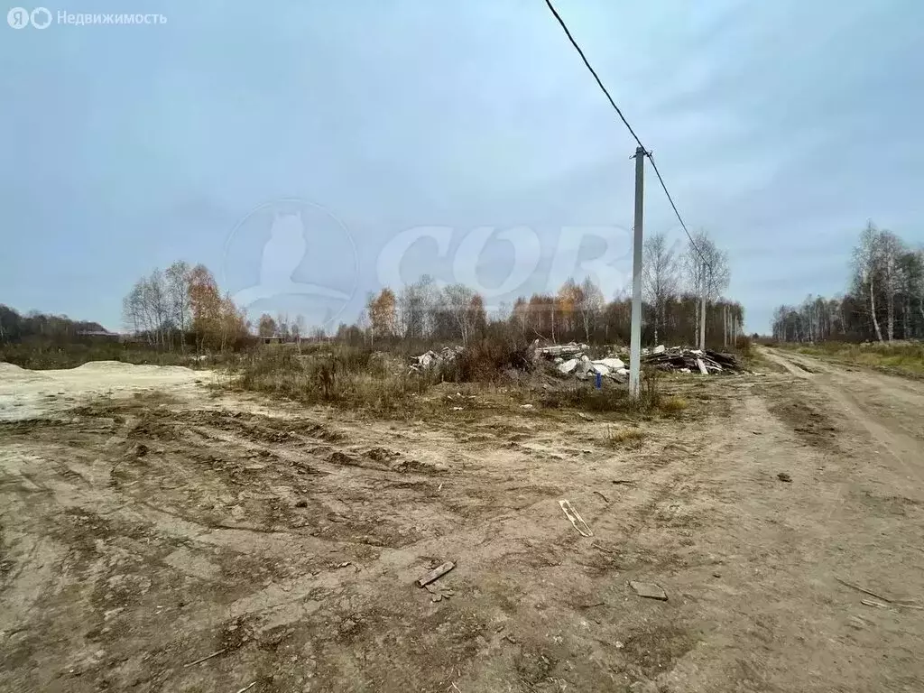 Участок в Тюмень, территория СОСН Солнечная Поляна, улица Поле Чудес ... - Фото 1