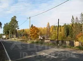 Участок в Ленинградская область, Всеволожский район, Рахьинское ... - Фото 0