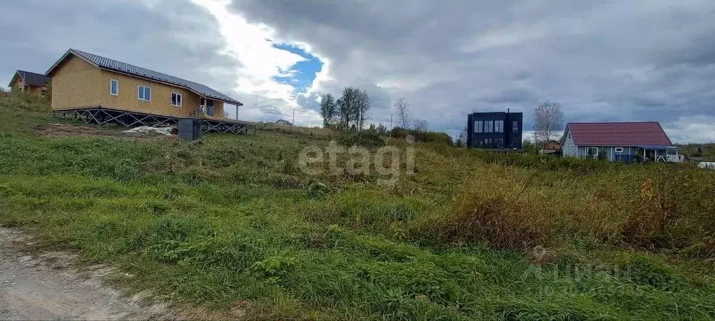 Участок в Новосибирская область, Новосибирский район, Барышевский ... - Фото 0