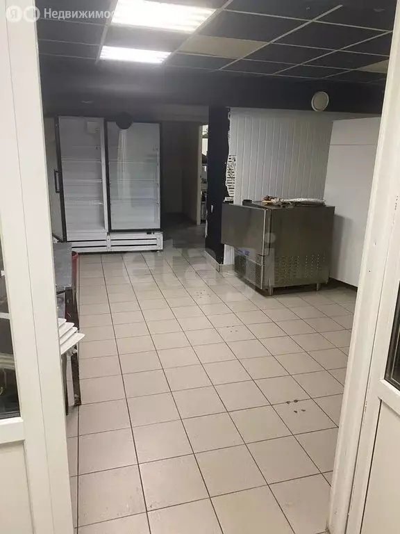Помещение свободного назначения (253.3 м) - Фото 2