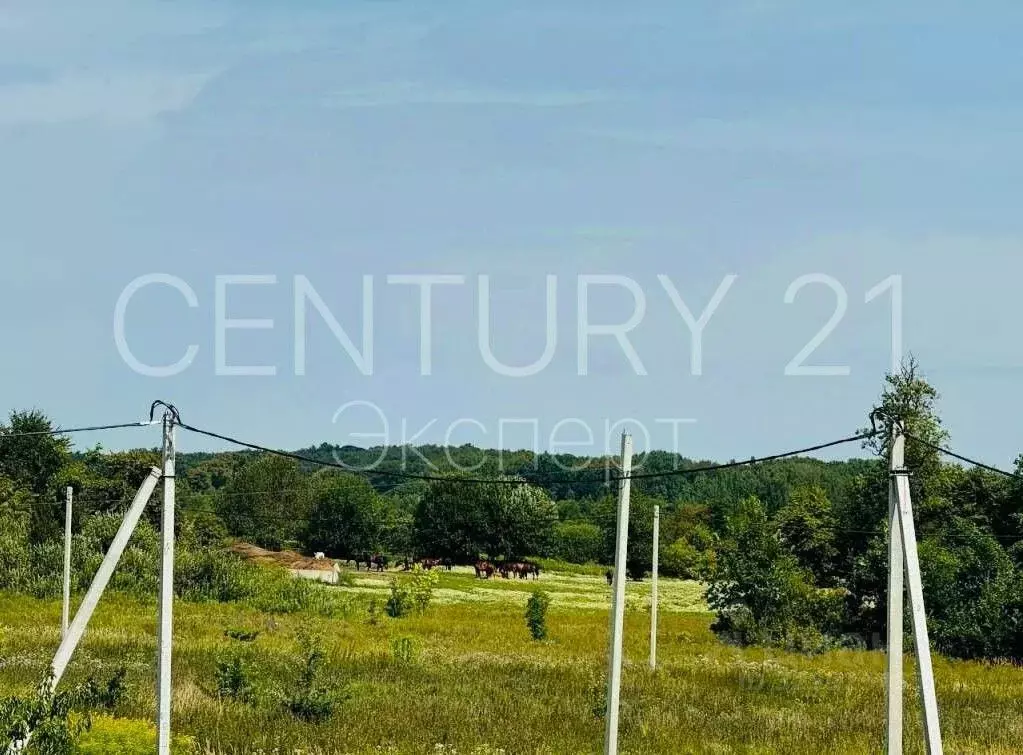 Участок в Калининградская область, Гурьевский муниципальный округ, ... - Фото 1