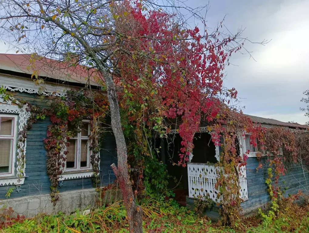 Дом в Московская область, Коломна городской округ, с. Белые Колодези ... - Фото 1