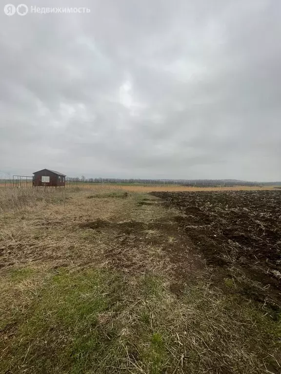 Участок в Краснодарский край, муниципальный округ Анапа, село ... - Фото 1