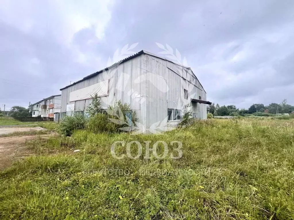 Помещение свободного назначения в Калужская область, Медынь Молодежная ... - Фото 2