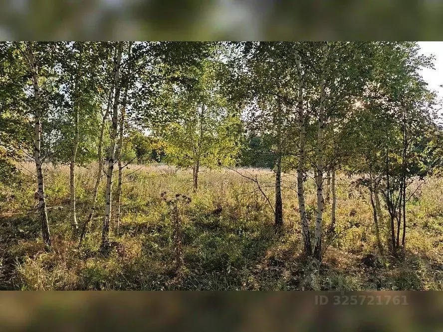 Участок в Московская область, Серебряные Пруды пгт ул. Советская ... - Фото 1