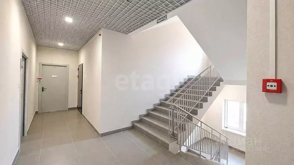 3-к кв. Московская область, Раменское ул. Березовая Роща, 12 (64.8 м) - Фото 2