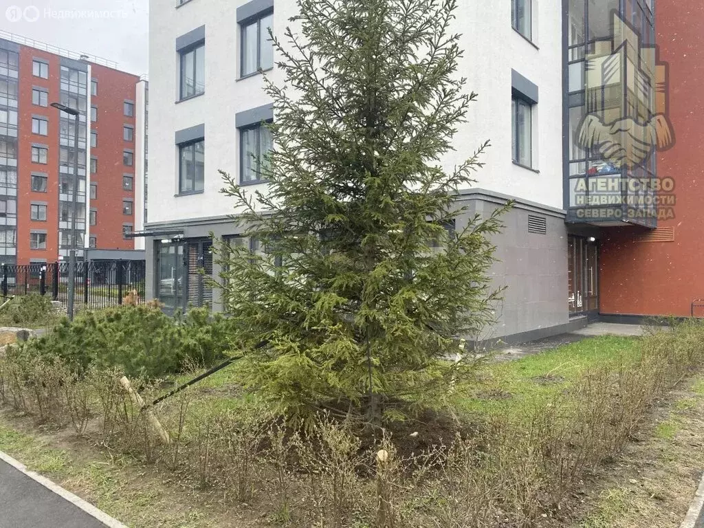 Помещение свободного назначения (242 м) - Фото 2