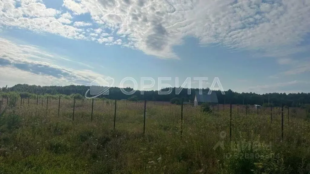 Участок в Тюменская область, Тюменский муниципальный округ, с. Кулига ... - Фото 1