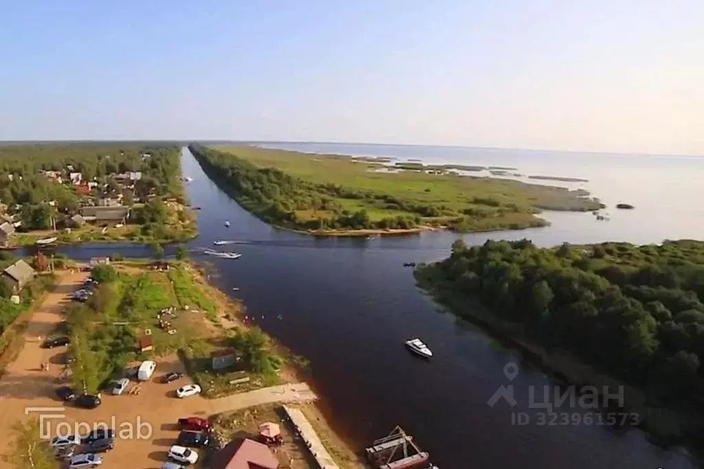 Участок в Ленинградская область, Кировский район, Назиевское городское ... - Фото 1