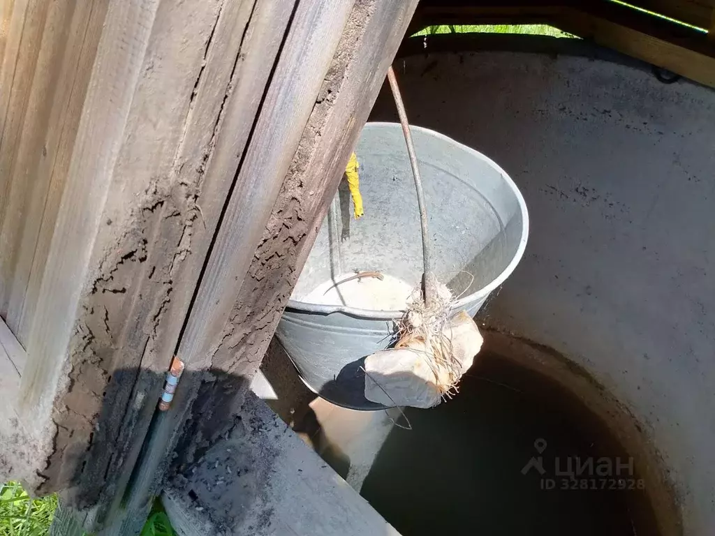 Участок в Московская область, Можайский муниципальный округ, Ромашка ... - Фото 2