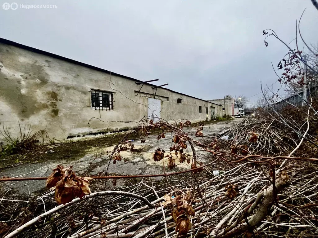 Склад (483 м) - Фото 2