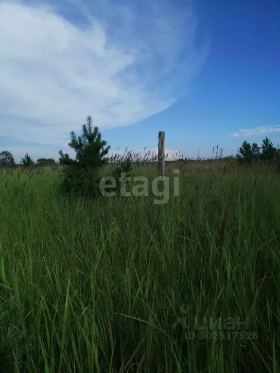 Участок в Красноярский край, Березовский район, Есаульский сельсовет, ... - Фото 0