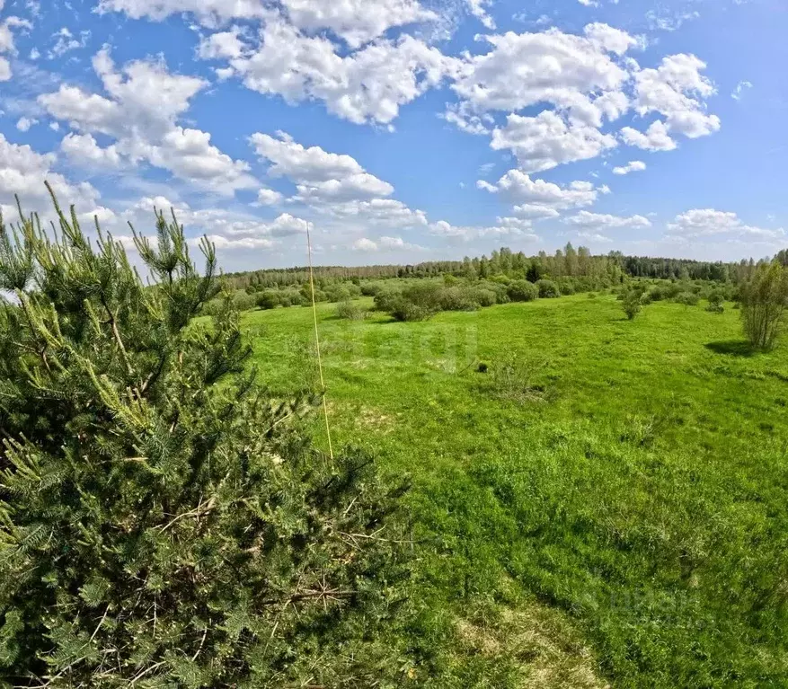 Участок в Московская область, Клин городской округ, д. Владимировка  ... - Фото 1