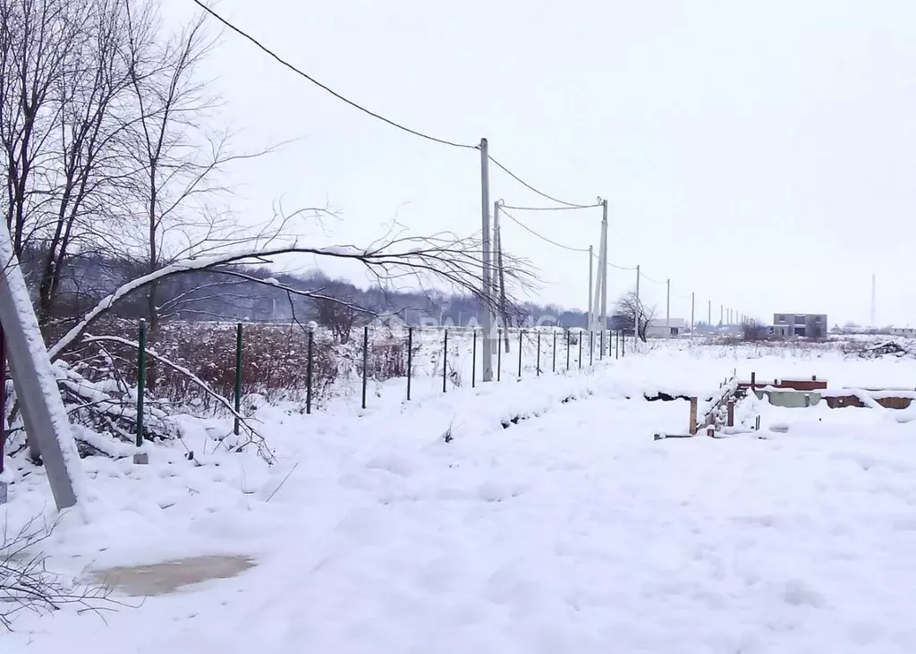 Участок в Калининградская область, Багратионовский муниципальный ... - Фото 1