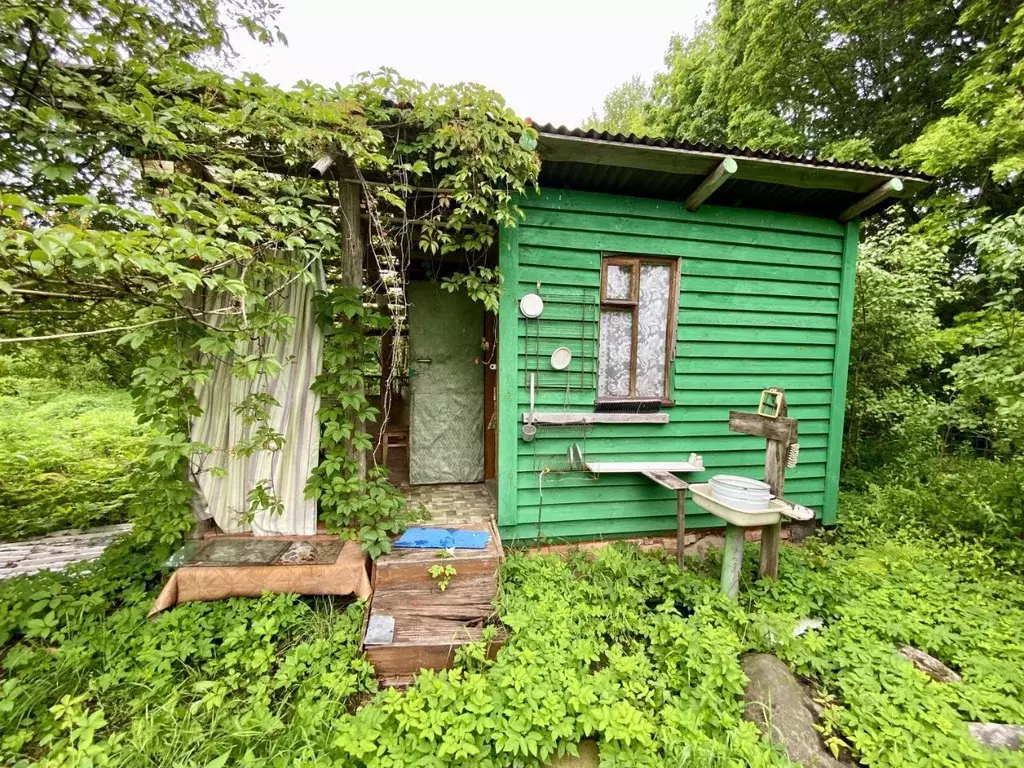 Дом в Псковская область, Гдов городское поселение, д. Котеницы  (18 м) - Фото 2