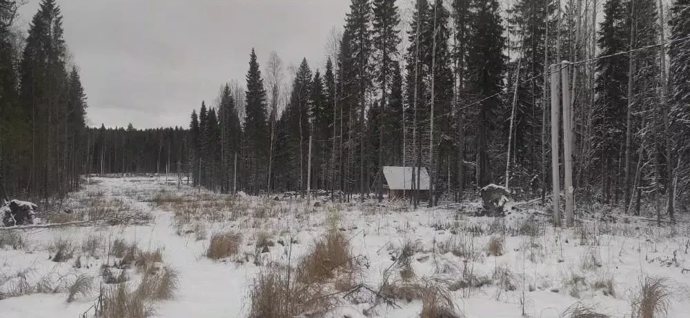 Участок в Коми, Сыктывкар Усадебная ул. (15.0 сот.) - Фото 1