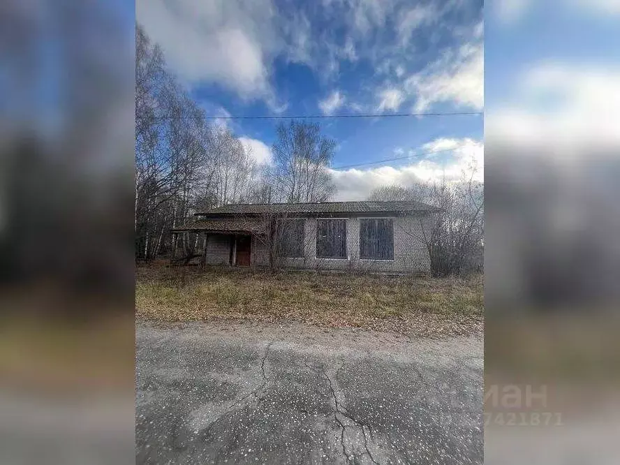 Помещение свободного назначения в Нижегородская область, Сокольский ... - Фото 1