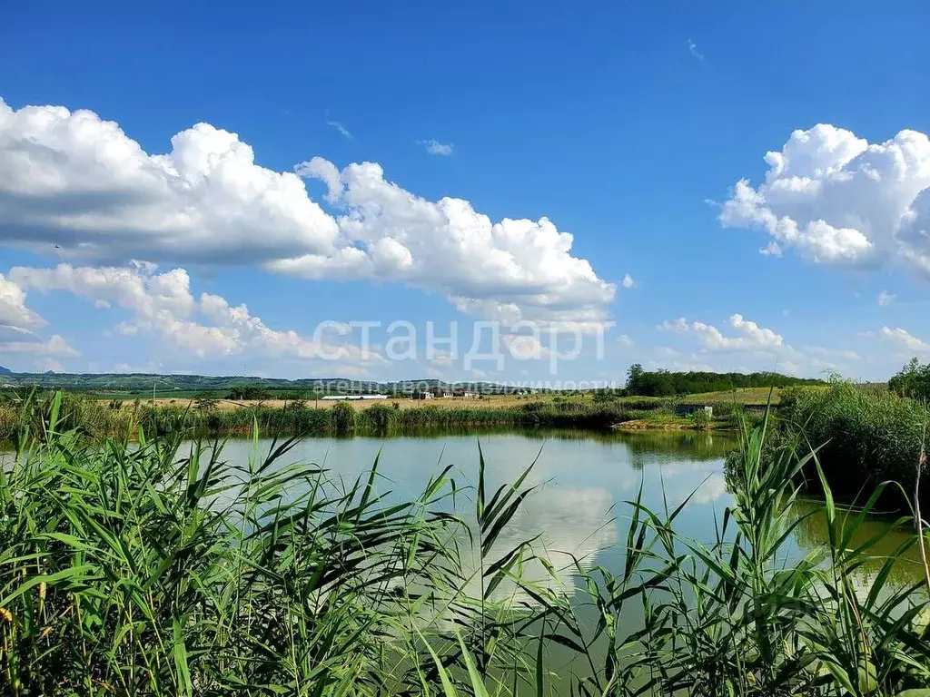 Участок в Ставропольский край, Предгорный муниципальный округ, ... - Фото 1