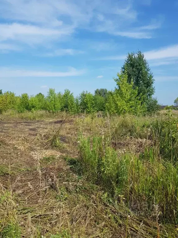 Участок в Кемеровская область, Кемеровский район, д. Мозжуха ... - Фото 2