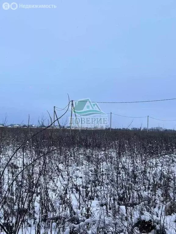 Участок в посёлок совхоза Комсомолец, коттеджный посёлок Комсомолец ... - Фото 0