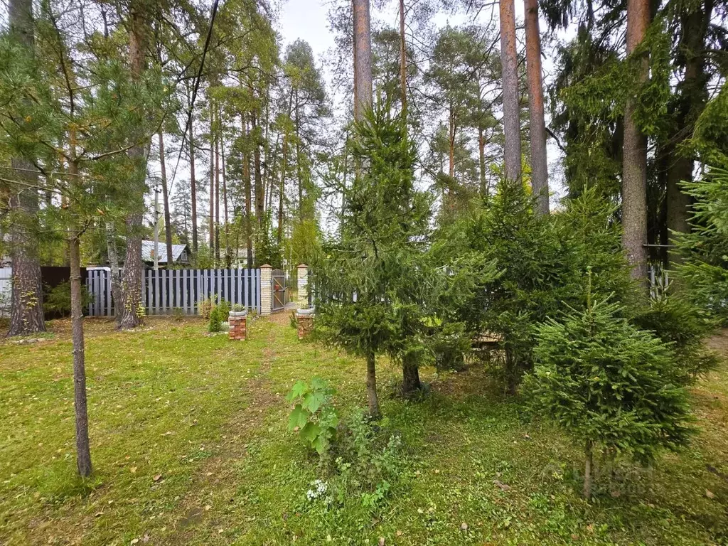 Участок в Ленинградская область, Гатчинский муниципальный округ, ... - Фото 2