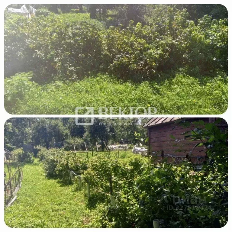 Дом в Ивановская область, Иваново Соликамская ул., 23 (12 м) - Фото 1