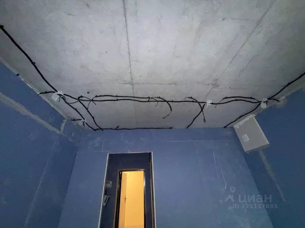 Студия Ленинградская область, Всеволожский район, Романовское с/пос, ... - Фото 2