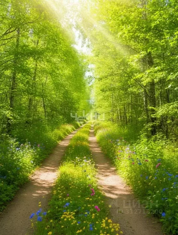 Участок в Нижегородская область, Сокольский городской округ, д. ... - Фото 2