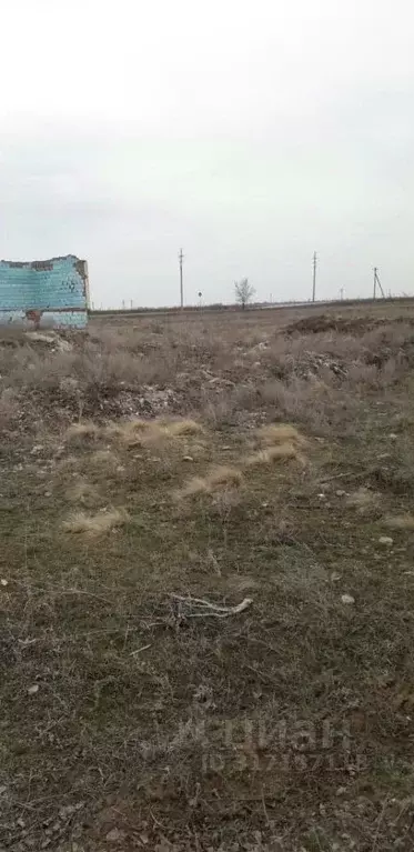 Участок в Волгоградская область, Иловлинский район, Качалинское с/пос, ... - Фото 0